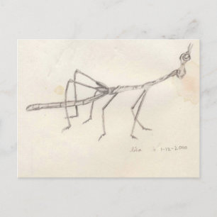 Walking Stick Insect Briefkaart