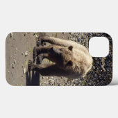 Walking Wild Grizzly Beer Wildlife Foto Case-Mate iPhone Case (Achterkant (horizontaal))