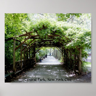 Walkway arbor in Central Park, NYC Poster