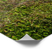 Walkway naar de strand poster (Hoek)