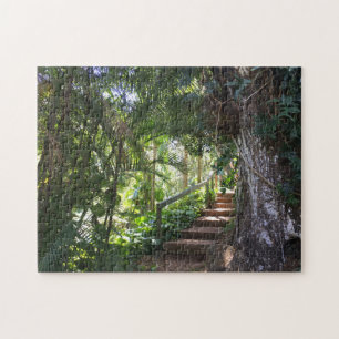 Walkway through a Tropical Forest, Kauai, Hawaii Legpuzzel
