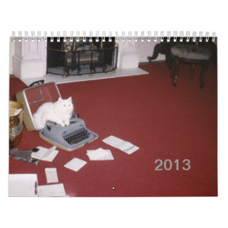 Wall Agenda 2013 (nieuwe editie) Kalender