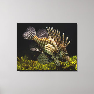 Wall Art Canvas Afdruk