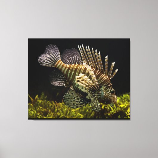 Wall Art Canvas Afdruk (Voorkant)