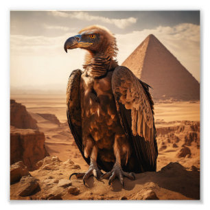 Wall Art Foto Afdruk