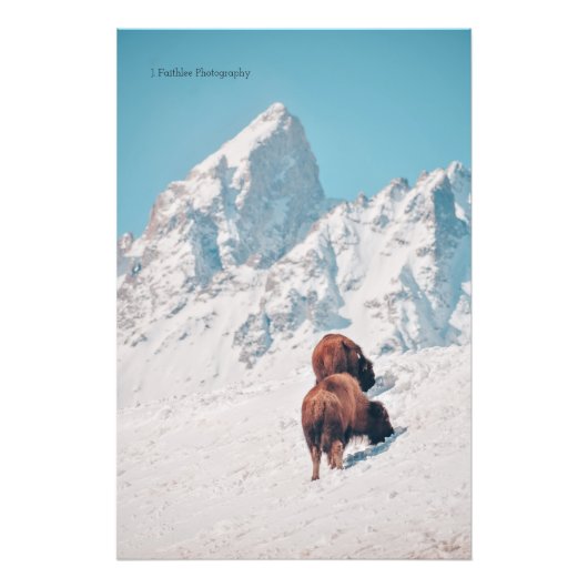 Wall Art Mountain bizon print Foto Afdruk (Voorkant)