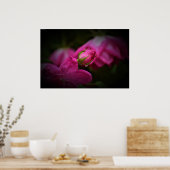 Wall Art Poster (Keuken)