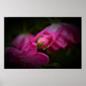 Wall Art Poster (Voorkant)