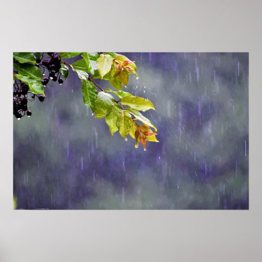 Wall Art Poster (Voorkant)