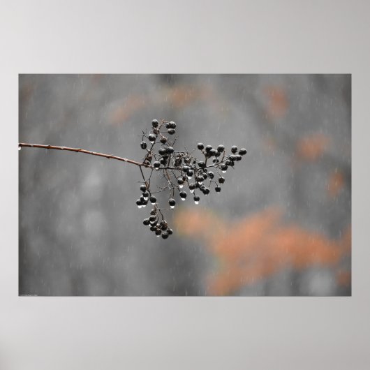 Wall Art Poster (Voorkant)