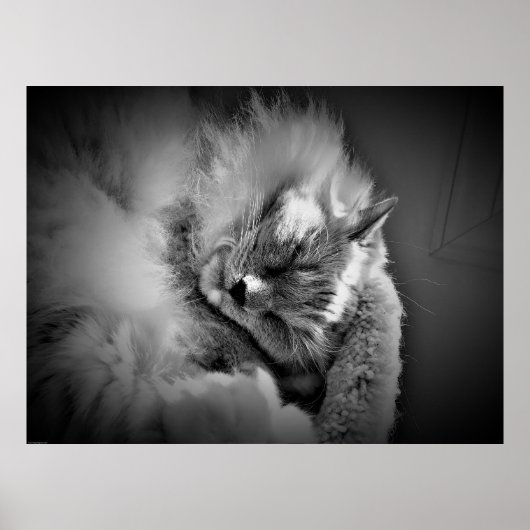Wall Art Poster (Voorkant)