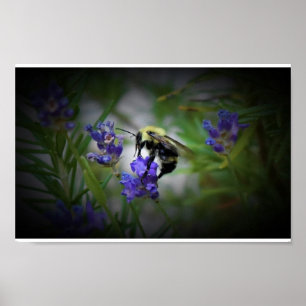 Wall Art Poster