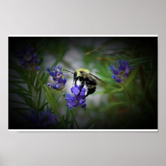 Wall Art Poster (Voorkant)