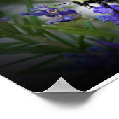 Wall Art Poster (Hoek)