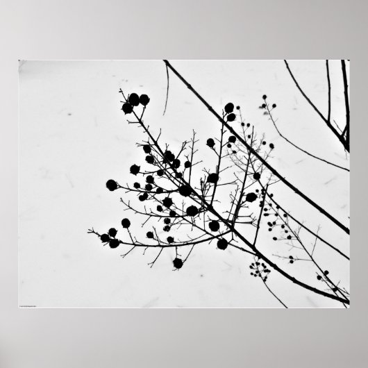 Wall Art Poster (Voorkant)