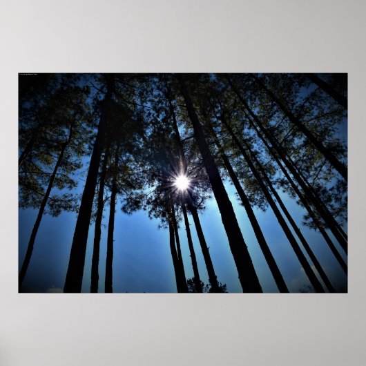 Wall Art Poster (Voorkant)