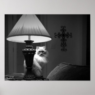 Wall Art Poster
