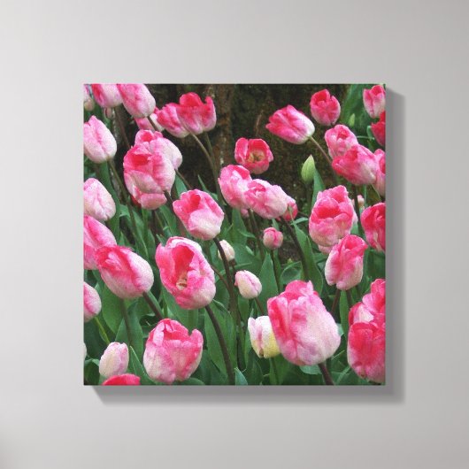 Wall Art roze tulpen Canvas Afdruk (Voorkant)
