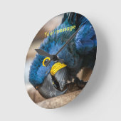 Wall clock featuring cute Hyacinth Macaw parrot Ronde Klok (Hoek)
