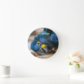 Wall clock featuring cute Hyacinth Macaw parrot Ronde Klok (Huis)