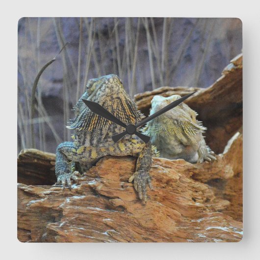 Wall Clock with two curious lizards Vierkante Klok (Voorkant)