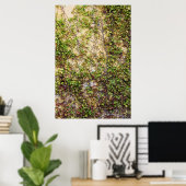 Wall Coverage - Ierland Poster (Thuiskantoor)