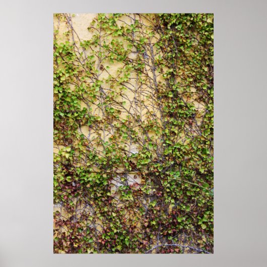 Wall Coverage - Ierland Poster (Voorkant)