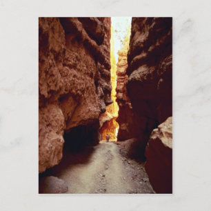 Wall Street, Bryce National Park, Utah rock format Briefkaart
