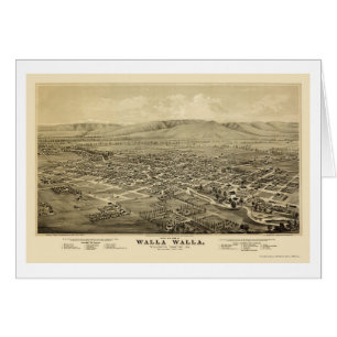 Walla Walla, WA Panoramic Map - 1876