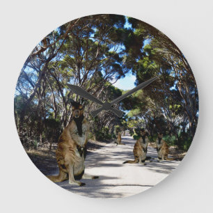 Wallabe Australienne Sur Route, Grande Horloge