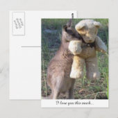 Wallabing étreindre nounours carte postale vous ai (Devant / Derrière)