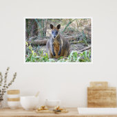 Wallaby in de Bossen Poster (Keuken)