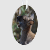 Wallaby mignon (devant)