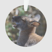 Wallaby mignon (devant)