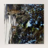 Wallaby On Road, Jigsaw Puzzle (Horizontal)