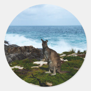 Wallaby on Seaside Rocks, ronde Stickers