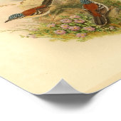 Wallace's Todopsis Wren Brown Bird Print (Hoek)