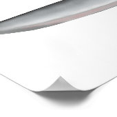 Wallago Poster (Hoek)