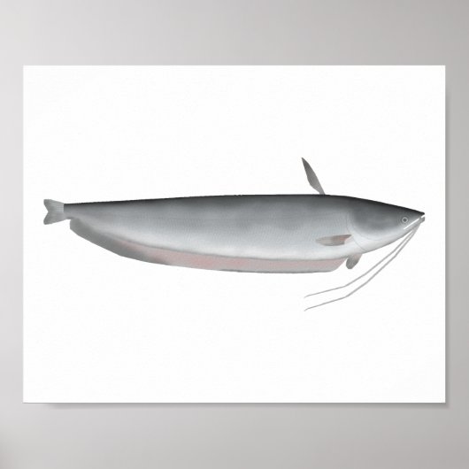 Wallago Poster (Voorkant)