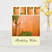 Wallbloem Kaart (Gele Bloem)