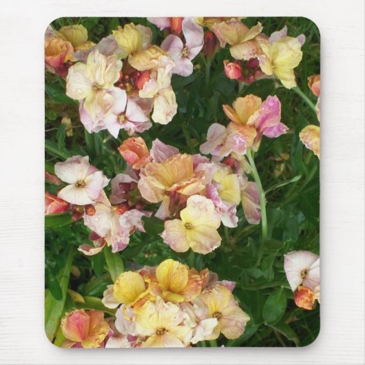 Wallbloemen Mousepad Muismat (Voorkant)