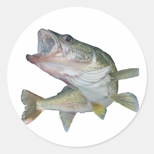 Walleengvisserij Ronde Sticker (Voorkant)