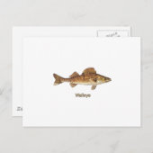 Walleye Art Briefkaart (Voorkant / Achterkant)