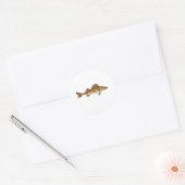 Walleye Art Ronde Sticker (Envelop)