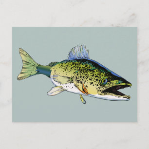 Walleye Briefkaart