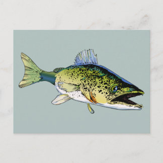 Walleye Briefkaart