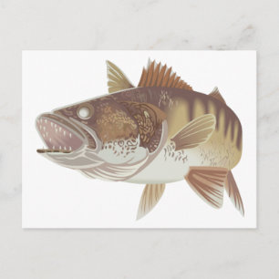 Walleye Briefkaart