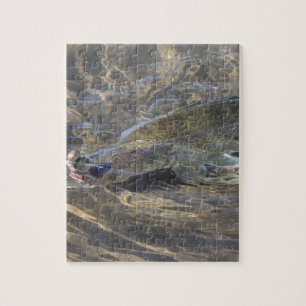 Walleye Caught Legpuzzel