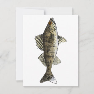 Walleye Notitiekaartje