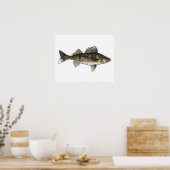 Walleye Poster (Keuken)
